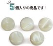 画像5: 高瀬貝 フラット ボタン 【ホワイト】 白 シェルボタン 貝ボタン 貝製 5個入り 【10mm】 きらきらぷんぷん丸 B-756 (5)