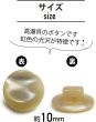 画像3: 高瀬貝 フラット ボタン 【ライトベージュ】 シェルボタン 貝ボタン 貝製 5個入り 【10mm】 きらきらぷんぷん丸 B-757 (3)