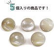 画像5: 高瀬貝 フラット ボタン 【ライトベージュ】 シェルボタン 貝ボタン 貝製 5個入り 【10mm】 きらきらぷんぷん丸 B-757 (5)