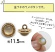 画像3: オーロラ ラメボタン 足つき 【ベージュ】 金フチ ボタン グリッター かわいい 8個入り 【11.5mm】 きらきらぷんぷん丸 B-867 (3)