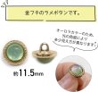 画像3: オーロラ ラメボタン 足つき 【ライトグリーン】 緑 金フチ ボタン グリッター かわいい 8個入り 【11.5mm】 きらきらぷんぷん丸 B-869 (3)