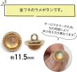 画像3: オーロラ ラメボタン 足つき 【オレンジ】 金フチ ボタン グリッター かわいい 8個入り 【11.5mm】 きらきらぷんぷん丸 B-871 (3)