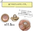 画像3: オーロラ ラメボタン 足つき 【ピンク】 金フチ ボタン グリッター かわいい 8個入り 【11.5mm】 きらきらぷんぷん丸 B-872 (3)