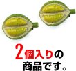 画像6: 食品サンプル クリップ【ドリアン】ヘアアクセ 髪留め フルーツ くだもの ベジタブル 野菜 プレゼント お土産 ネクタイ タイピン フェイクフード きらきらぷんぷん丸 KRP-017 2個 (6)