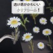 画像5: シール 押し花 デイジー クリア 花 フラワー ボタニカルシール ドライフラワー ステッカー デコレーション ラッピング　〔1シート11〕×3シート入りきらきらぷんぷん丸 PFS-001 (5)